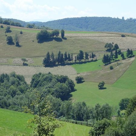 Pensiunea Margareta Sita Buzăului Exterior foto