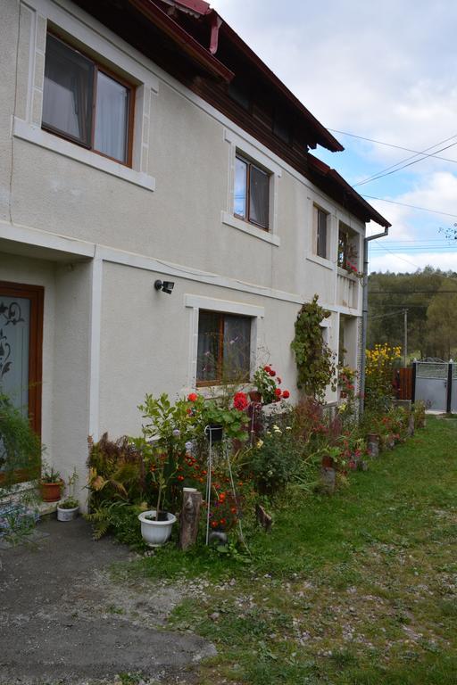 Pensiunea Margareta Sita Buzăului Exterior foto