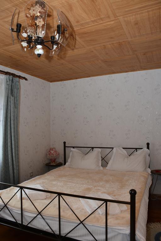Pensiunea Margareta Sita Buzăului Exterior foto