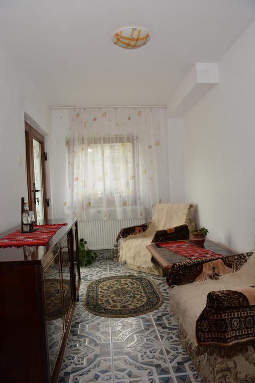 Pensiunea Margareta Sita Buzăului Exterior foto